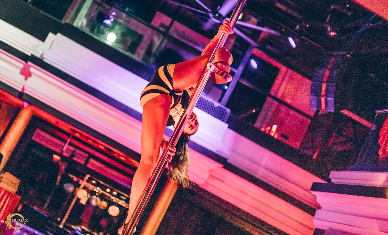 Professional Dancers - Image 21